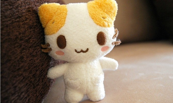 Cat Marshmallow